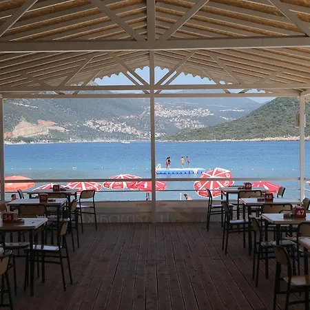 דירה Aze's Garden