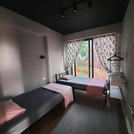 Daire Aze's Garden *