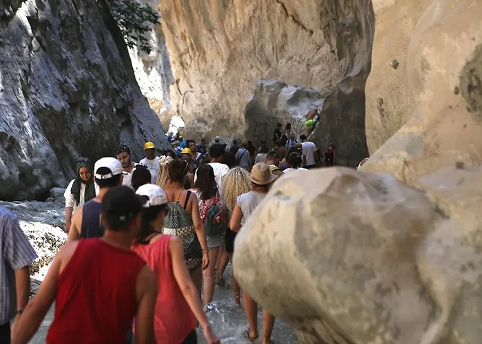 Lejlighed Aze's Garden