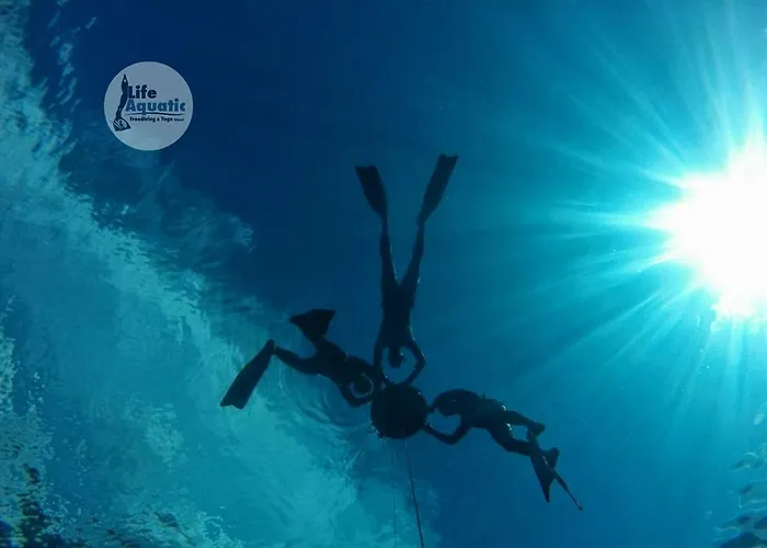 Apartamento Aze's Garden *