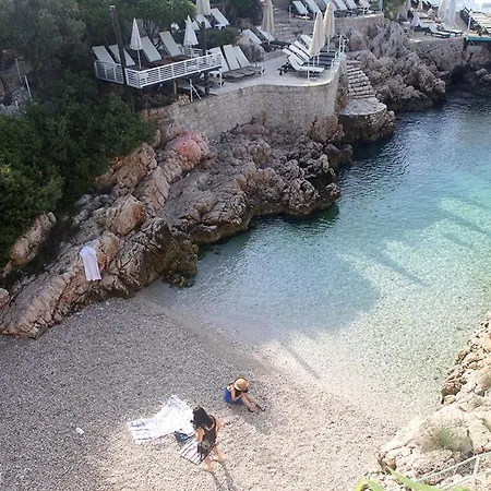 Aze's Garden * 卡斯