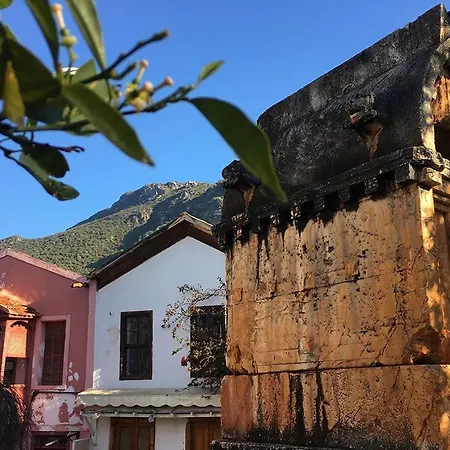 Aze's Garden 公寓 卡斯