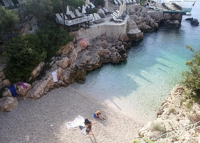 Aze's Garden * 卡斯